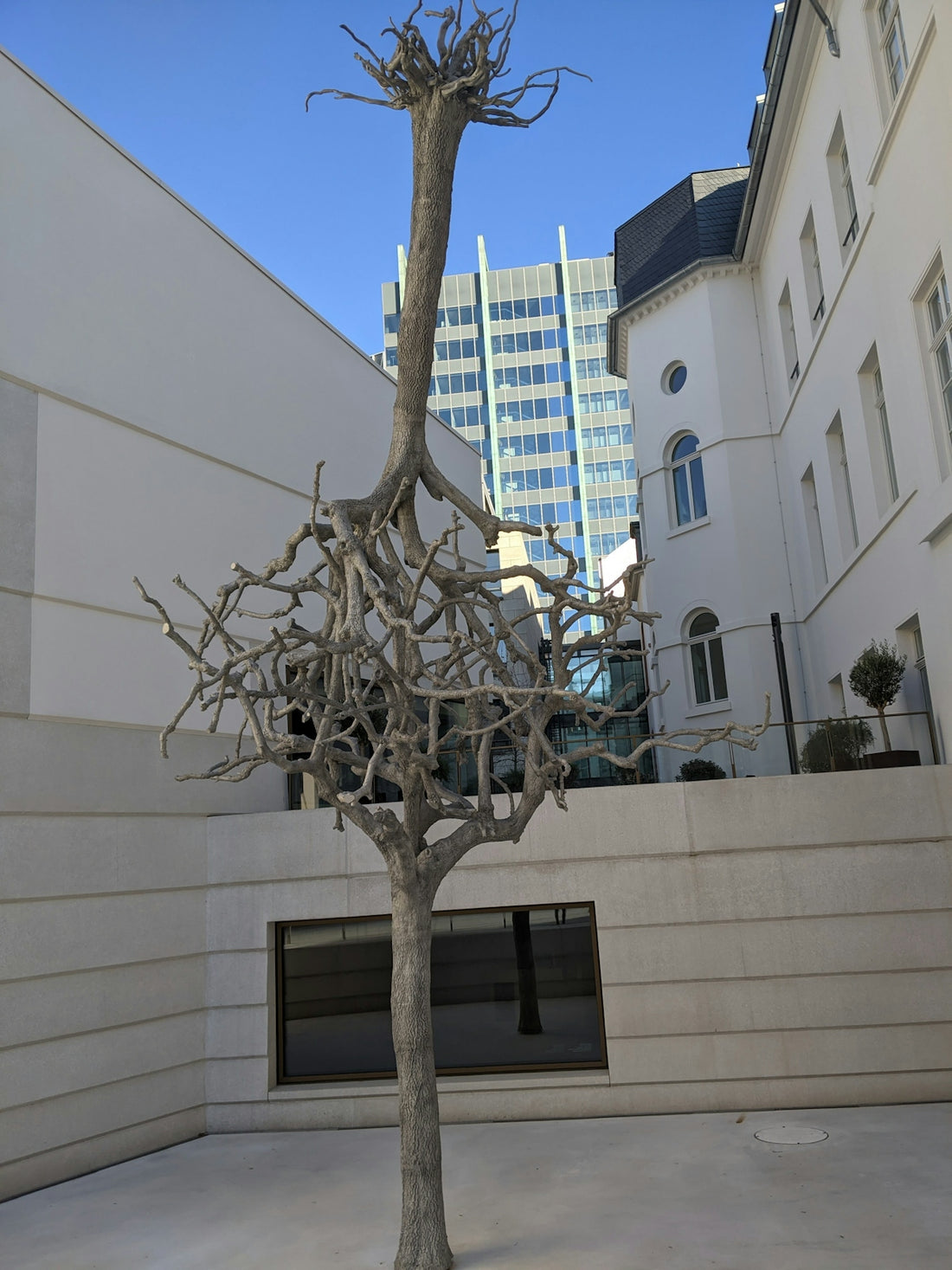 a sculpture of a tree in front of a building