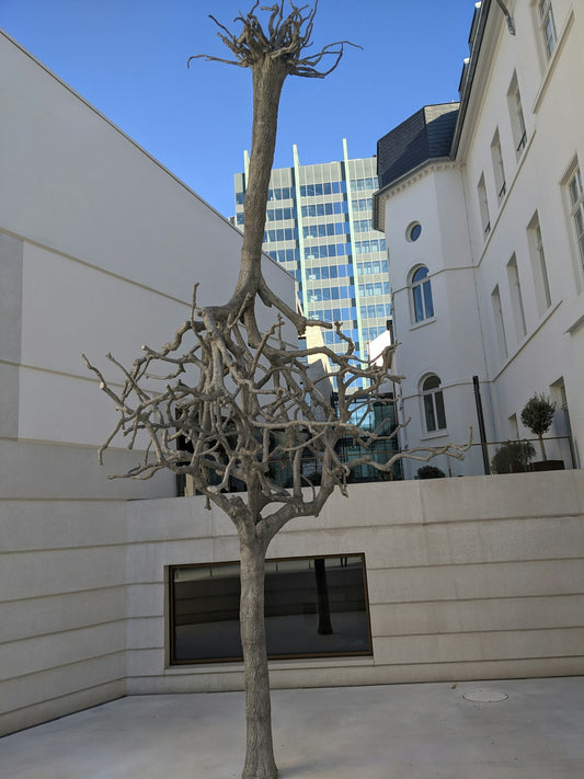 a sculpture of a tree in front of a building